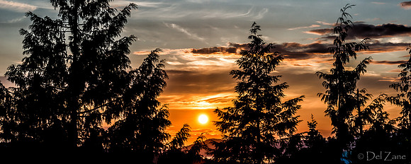 07-22 Golden Sunset--3