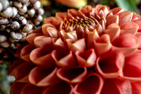09-21 Bouquet Bokeh--9