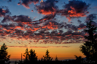 07-08 Peach Sunset-10
