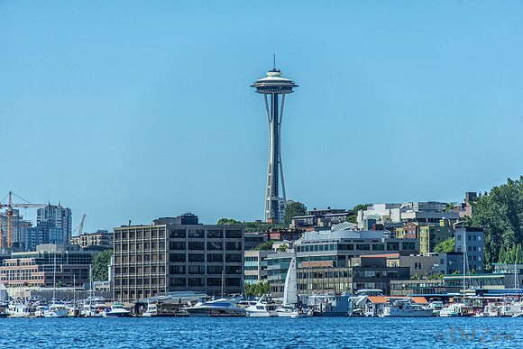 07-03 Space Needle--2