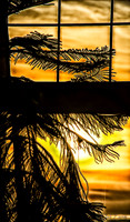11-25 Golden Late November Sunset-3