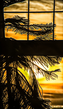11-25 Golden Late November Sunset-3