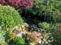04-01 SDZ Garden Yard JPEGs-896