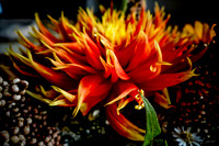 09-21 Bouquet Bokeh--14