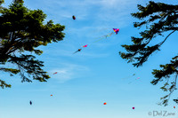 06-06 Kites TIFFs--4