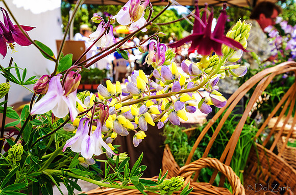 Memorial Day 2012, Farmers Market-83