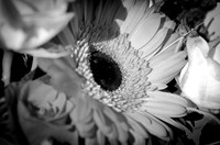 _DSC4489