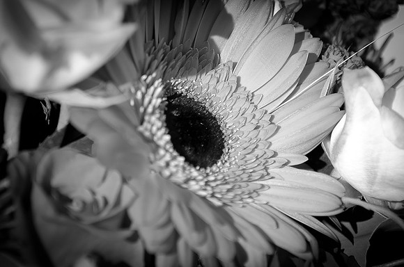_DSC4489