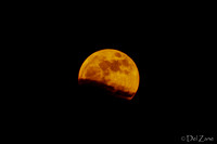 Supermoon Rising-11