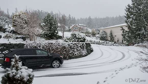 12-20 Snowy Day-0589