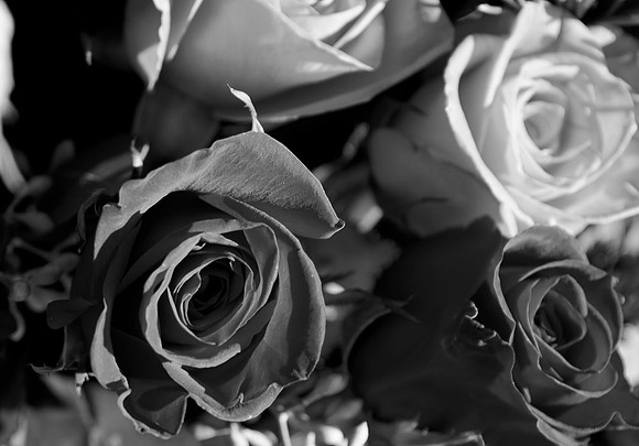 _DSC4512
