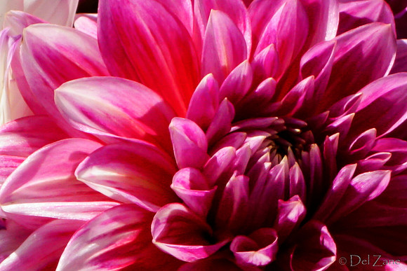 10-05 Farmers' Market--116