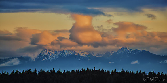 The Very Distant Olympic Mountains-8