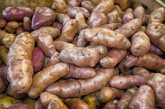 11-17 Indoor Farmers Market-165