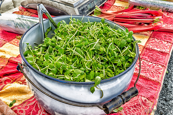 Memorial Day 2012, Farmers Market-7