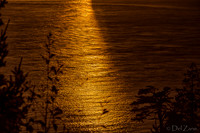 11-14 Late Fall Sunset--3