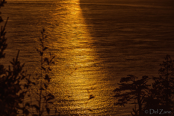 11-14 Late Fall Sunset--3