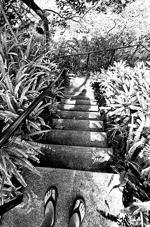 _DSC5778