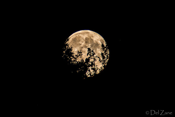 08-10 Super Moon Tiffs--4