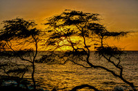 01-05 First Sunset Tiffs--2