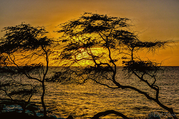 01-05 First Sunset Tiffs--2