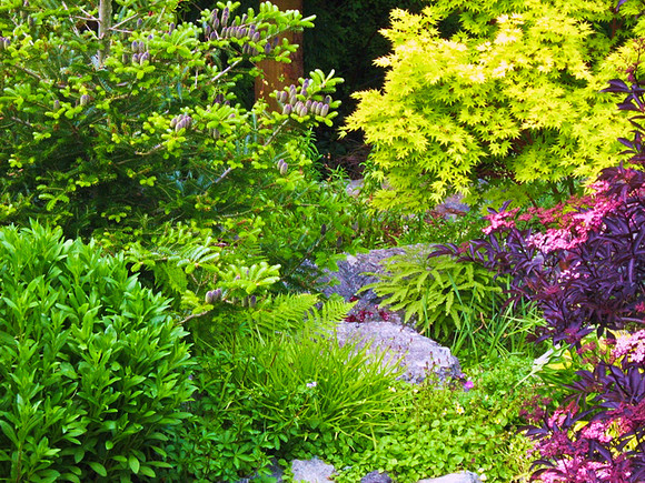 04-01 SDZ Garden Yard JPEGs-547