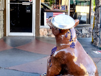 SDZ Trip Pix--4