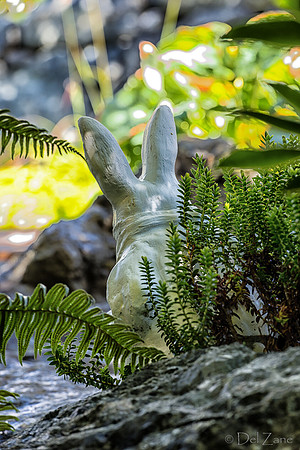 09-12 Shadra's Fall Garden Stroll--40