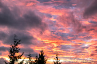 05-16 Pink Sunset TIFFs--9