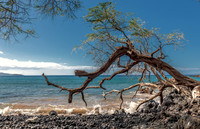 01-16 Makena Landing TIFFs--13
