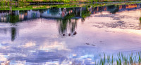 "The Preserve" Sunrise 09-03-2022