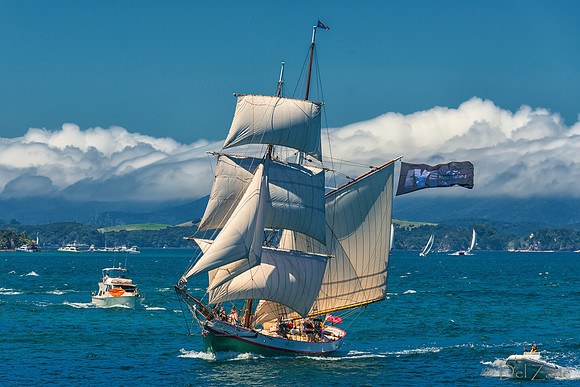 Bay of Islands NZ--26