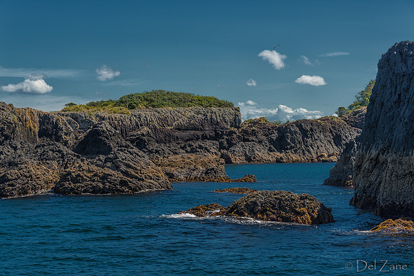 Bay of Islands NZ--34