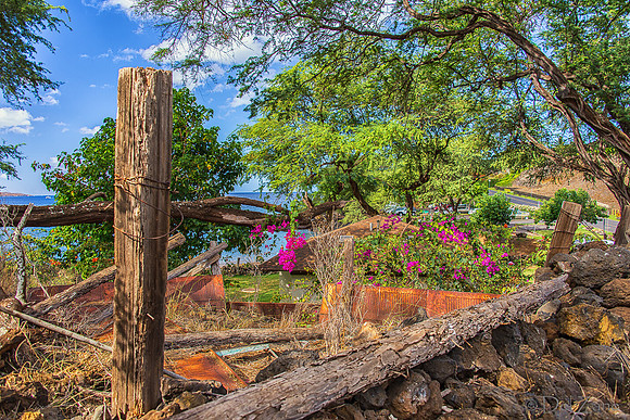 Makena Beach-14