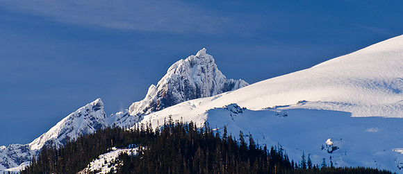_DSC5114
