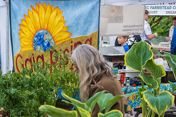 Farmers' Market 1--41