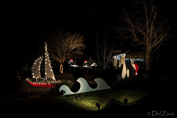 11-27-13  Marine Heights Night Xmas Display--2