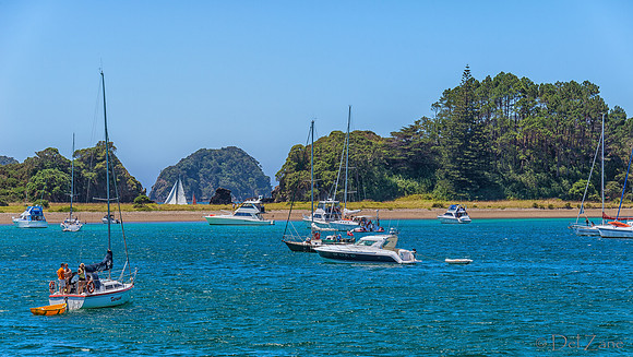Bay of Islands NZ--20