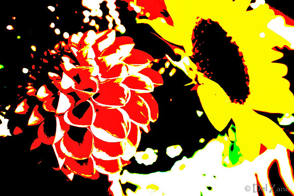 09-19 Colorized Bouquet Bokeh-0298
