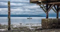 03-02 Coupeville-14
