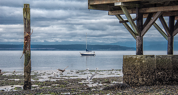 03-02 Coupeville-14