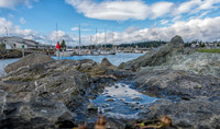 11-09 Tugboat Park Views--16