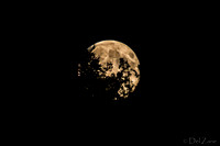 08-10 Super Moon Tiffs--3