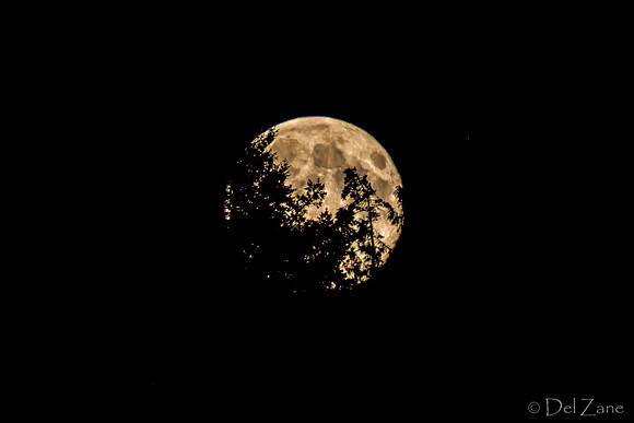 08-10 Super Moon Tiffs--3