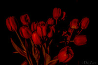 03-10 Night Time Tulips--9