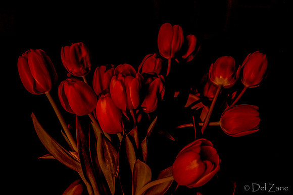 03-10 Night Time Tulips--9