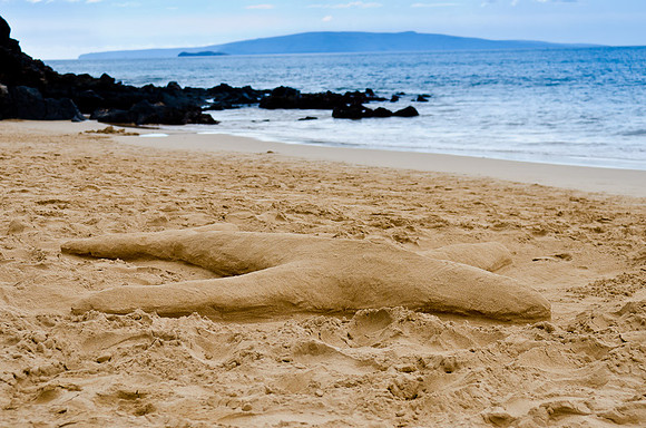 _DSC5245