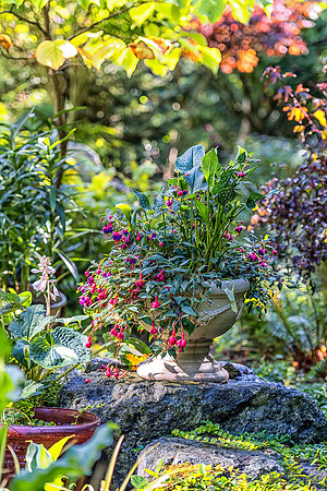 09-12 Shadra's Fall Garden Stroll--49