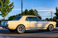Vintage Shelby Mustang 06-17-2019