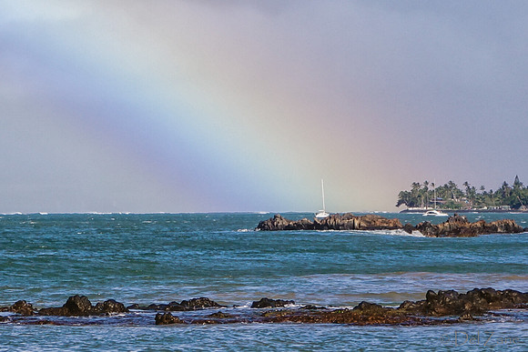 01-25 Maui Rainbow Tiffs--8